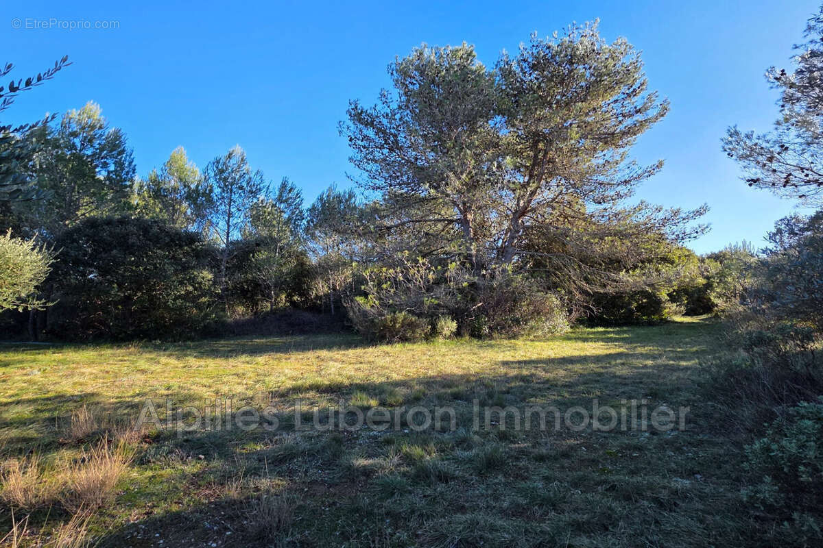 Terrain à EYGALIERES