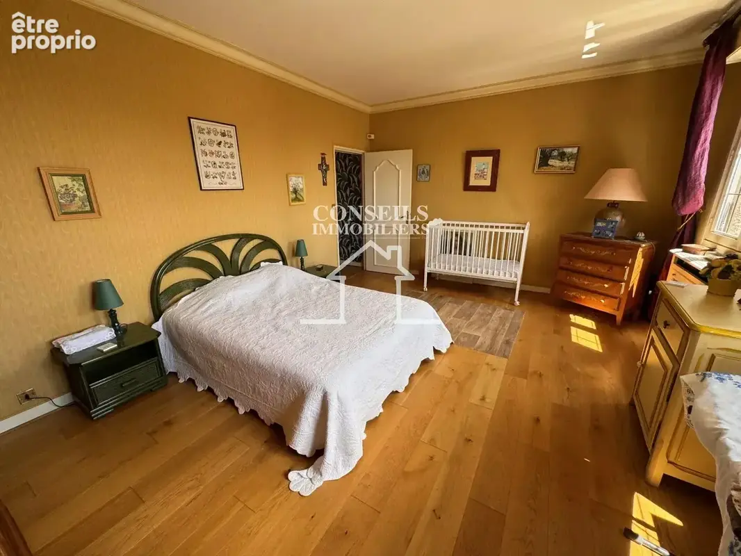 Saint julien du sault - photo 13