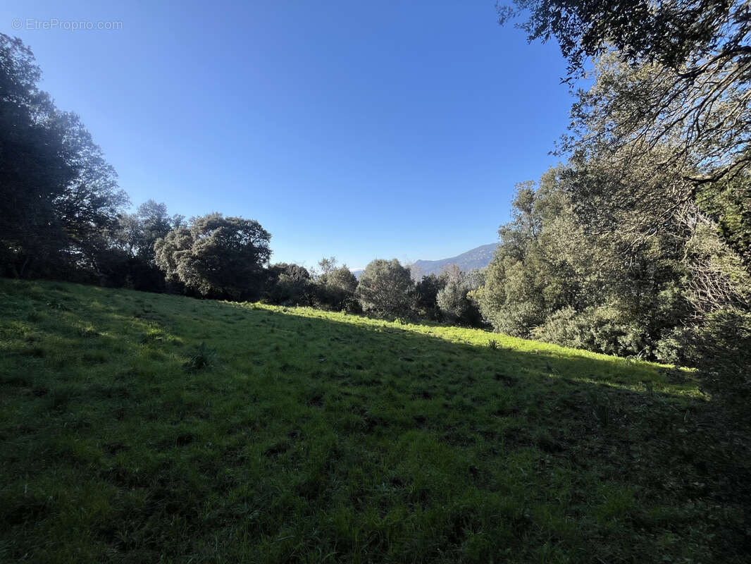 Maison à VIGGIANELLO