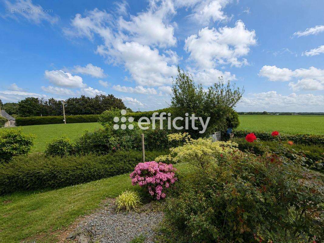 Maison 145 m² à Pire-Sur-Seiche  - photo 15