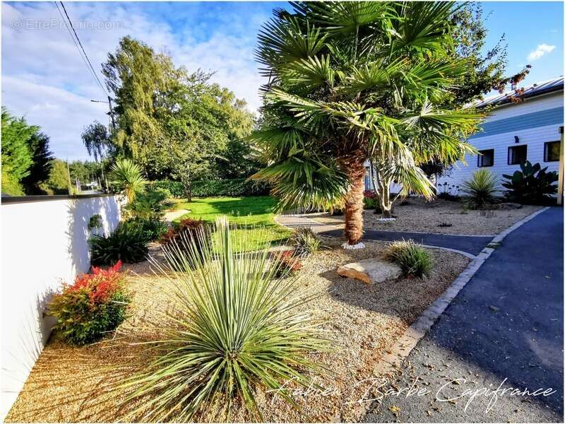 Maison à NEANT-SUR-YVEL