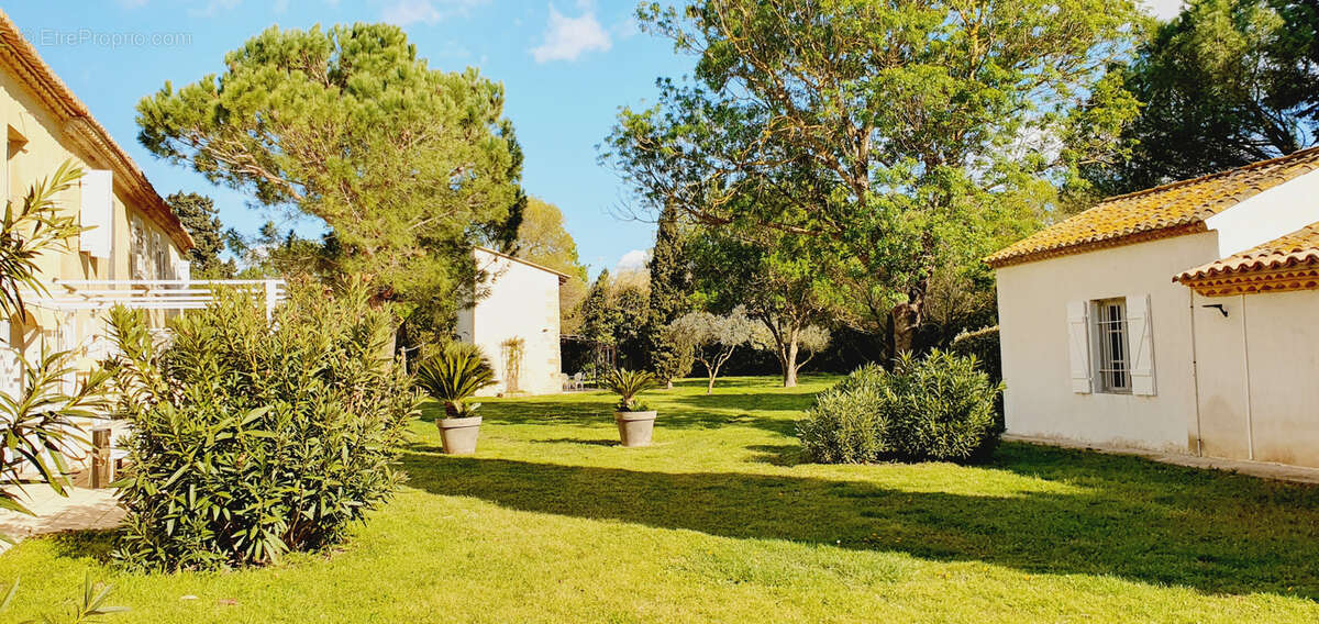 Maison à SAINTES-MARIES-DE-LA-MER