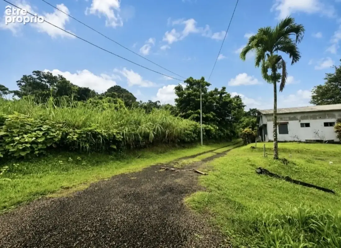 A vendre - Terrain plat de 729 m² – Ajoupa-Bouillon – Secteur Adinet - photo 4