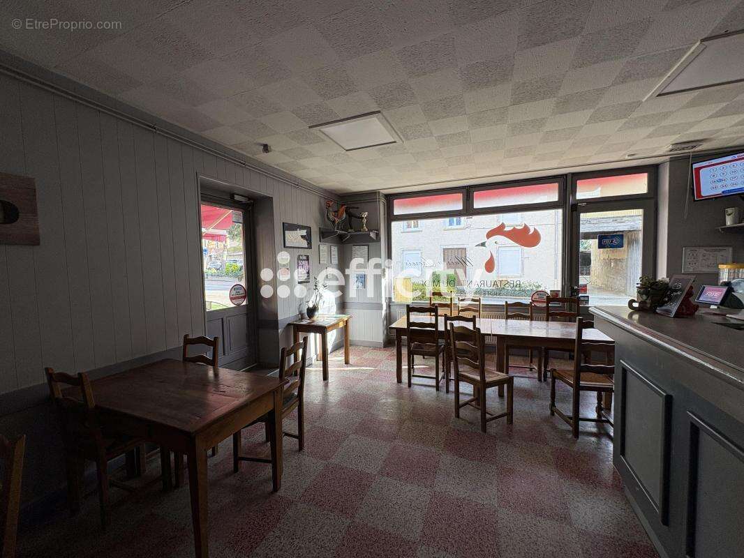 Commerce à CHANEINS