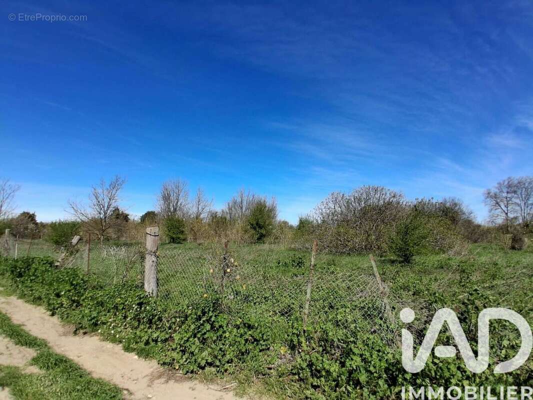 Photo 2 - Terrain à CANET-EN-ROUSSILLON