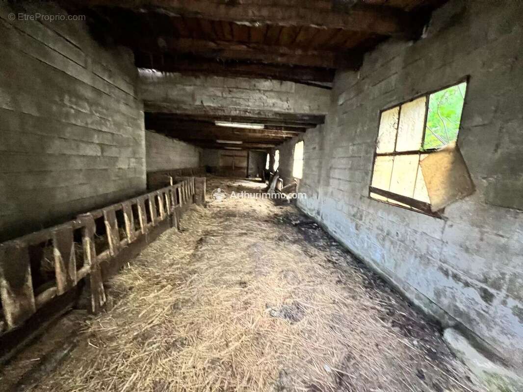 Terrain à SAINT-JEAN-DU-BRUEL