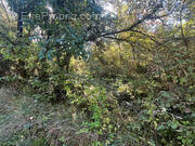 Terrain à BASSILLAC