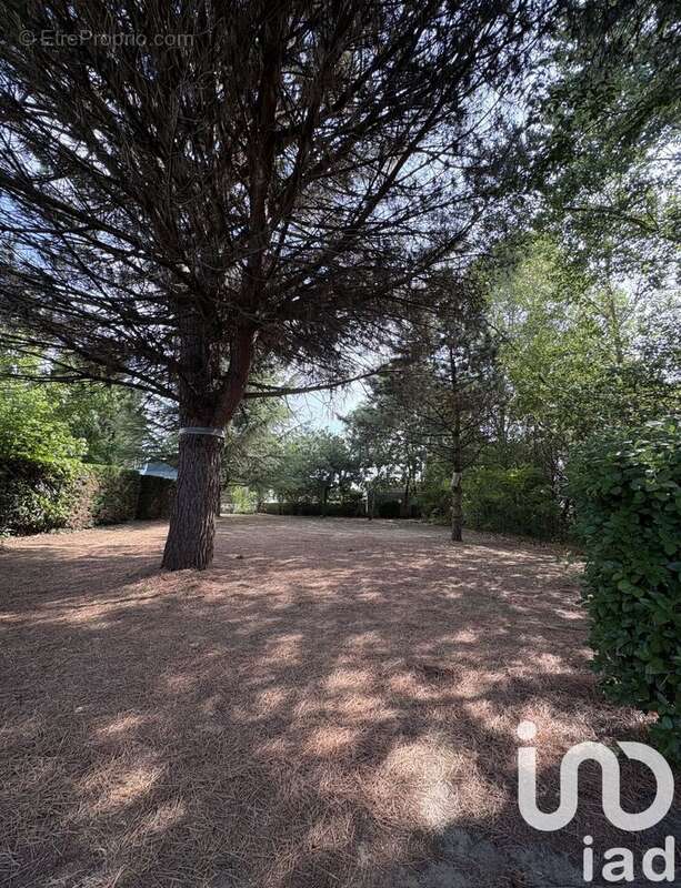 Photo 8 - Appartement à SAINT-ANDRE-DE-CUBZAC