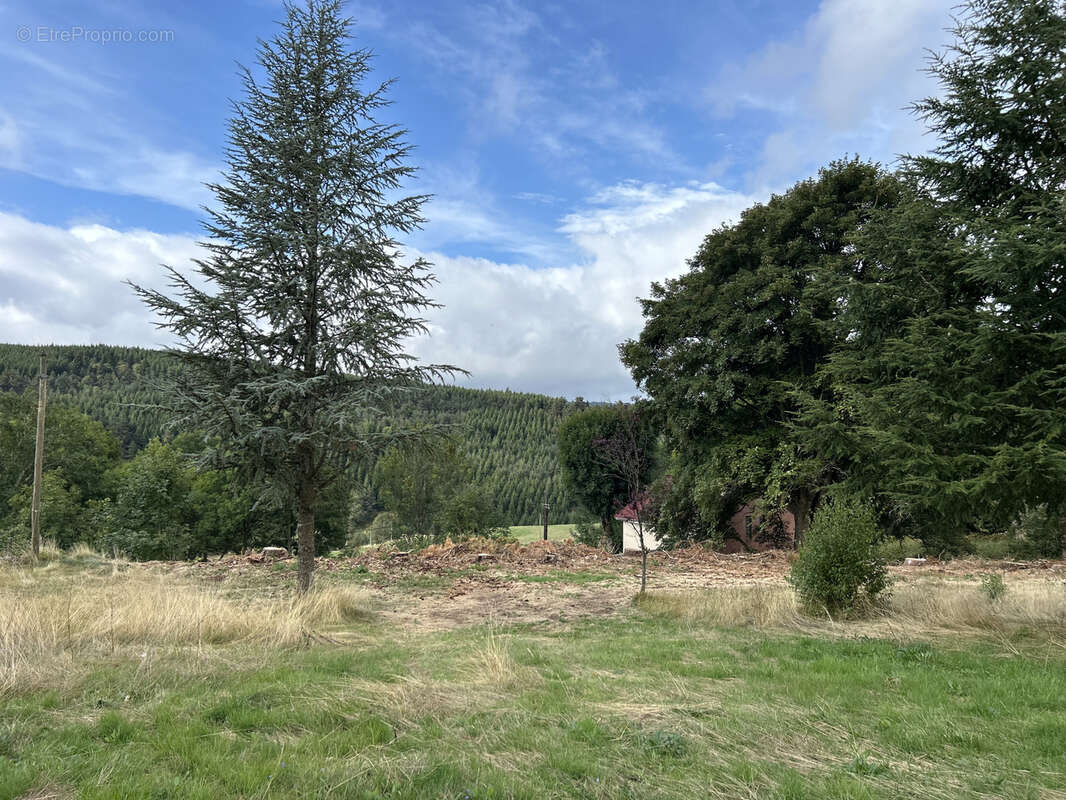 Terrain à LANARCE