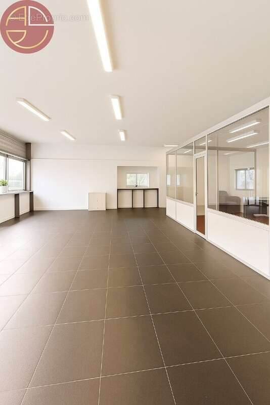 Commerce à PINS-JUSTARET