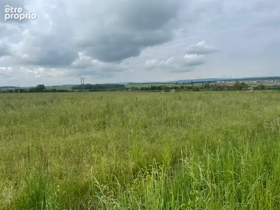 Terrain à DISTROFF