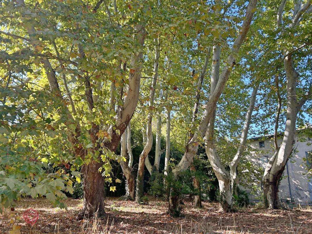 Maison à CARCASSONNE
