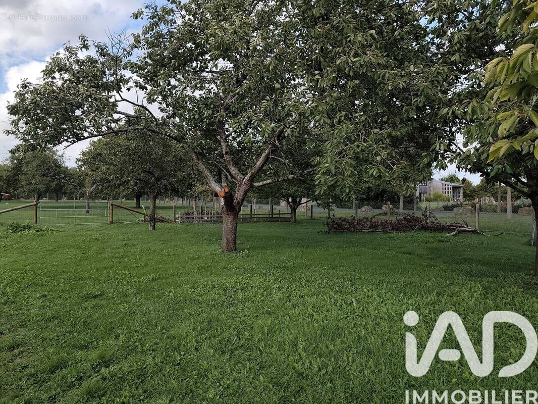 Photo 1 - Terrain à SAINT-COSME-EN-VAIRAIS