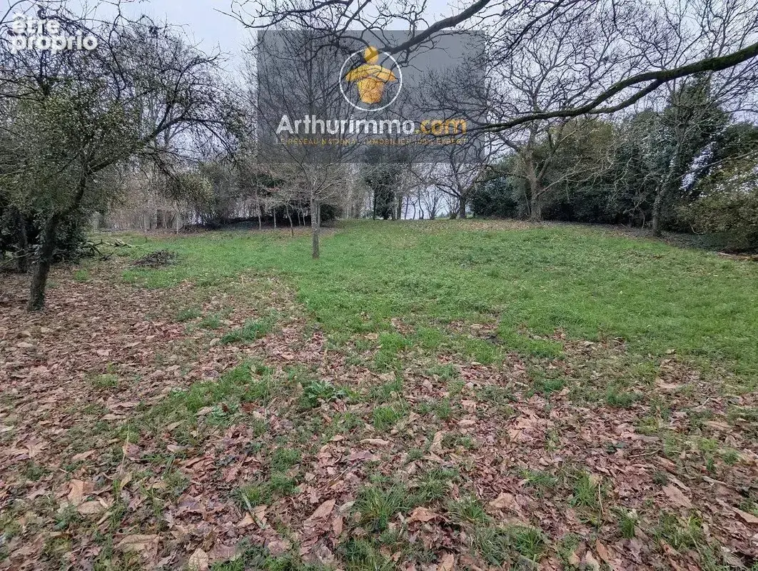 Vente Terrain Taupont(56800) 24 000ï¿œ - photo 7
