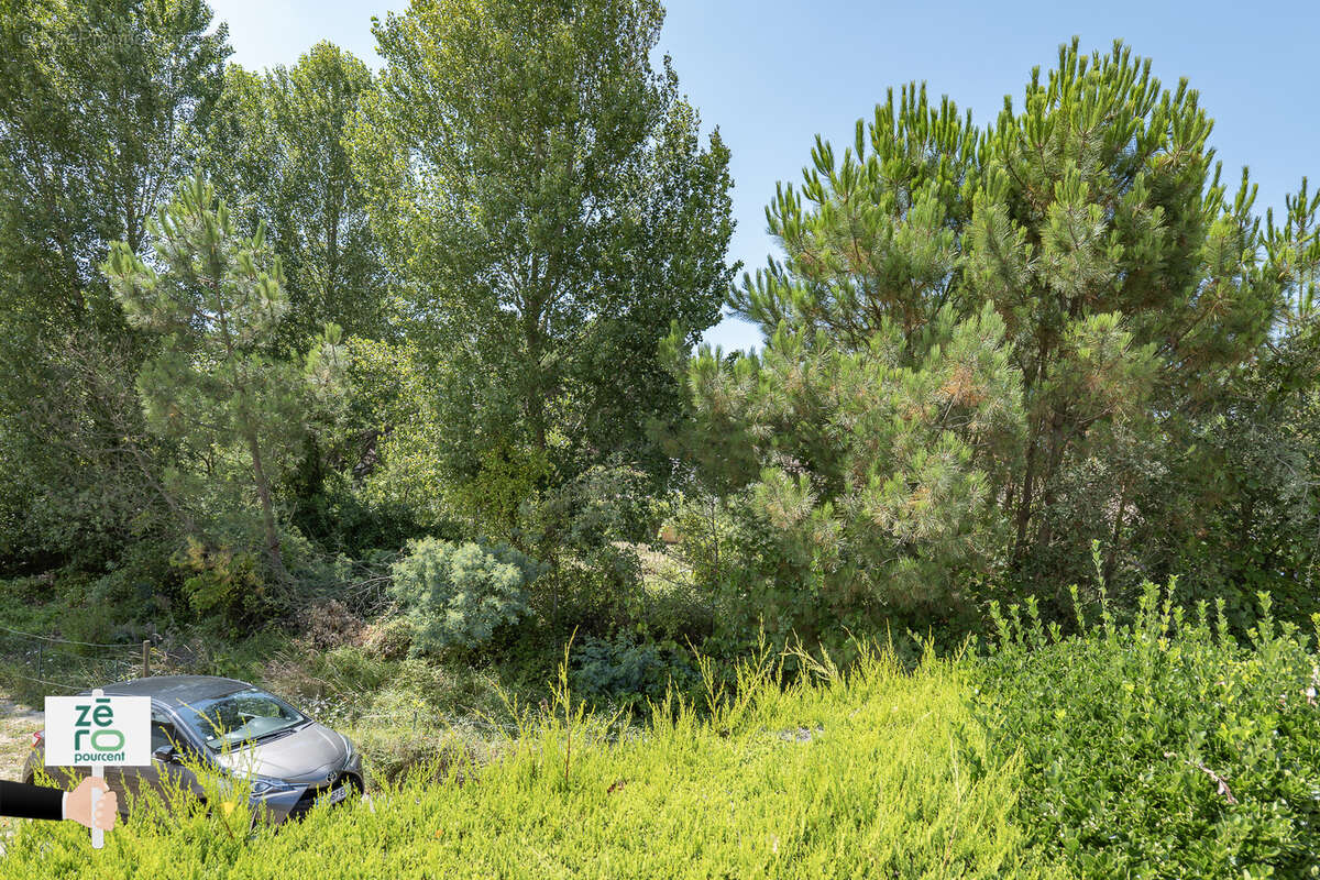 Terrain à LA TRANCHE-SUR-MER