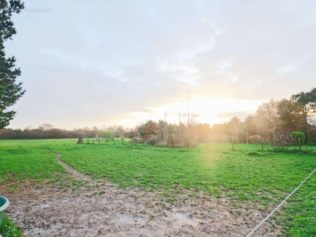 Maison à SAINT-LYPHARD