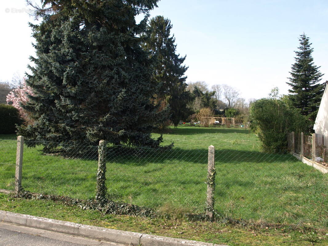 Terrain à MONTREUIL-SUR-BRECHE