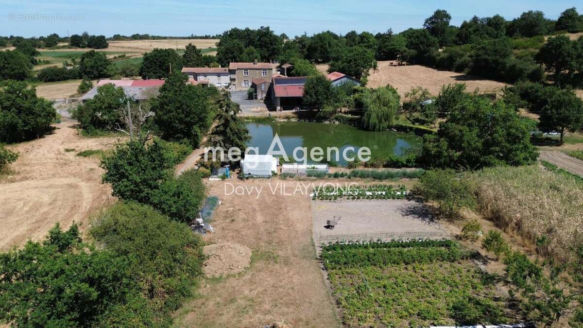 Domaine rare - photo 10