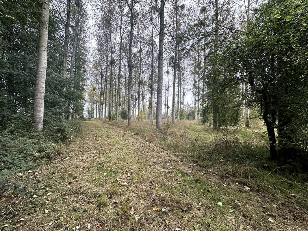 Terrain à LE FAVRIL