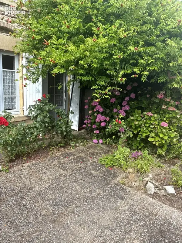 Photo 4