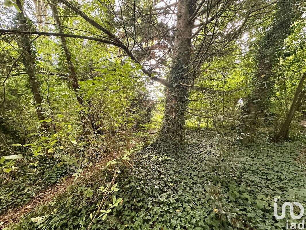 Photo 4 - Terrain à MATHIEU