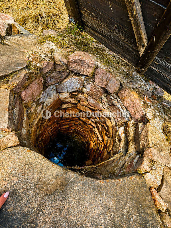 Terrain de 4576 m²  avec deux bâtiments en ruine à MONTAIGUET EN FOREZ - photo 8
