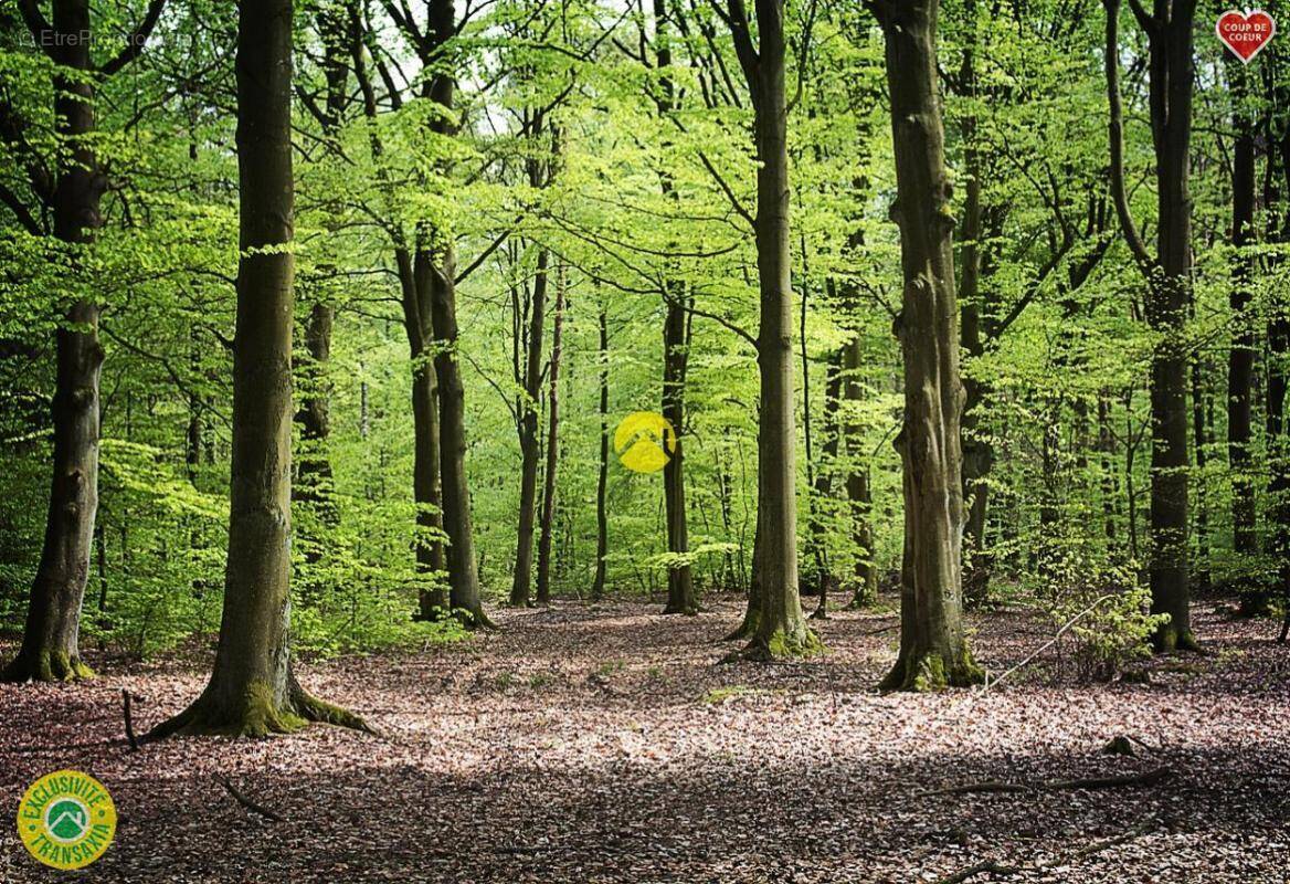 Terrain à PIERREFORT