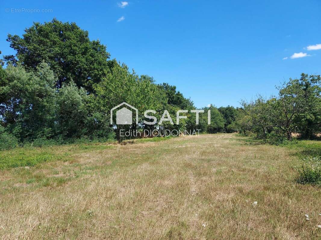 Photo 8 - Maison à SAINT-VINCENT-SUR-GRAON