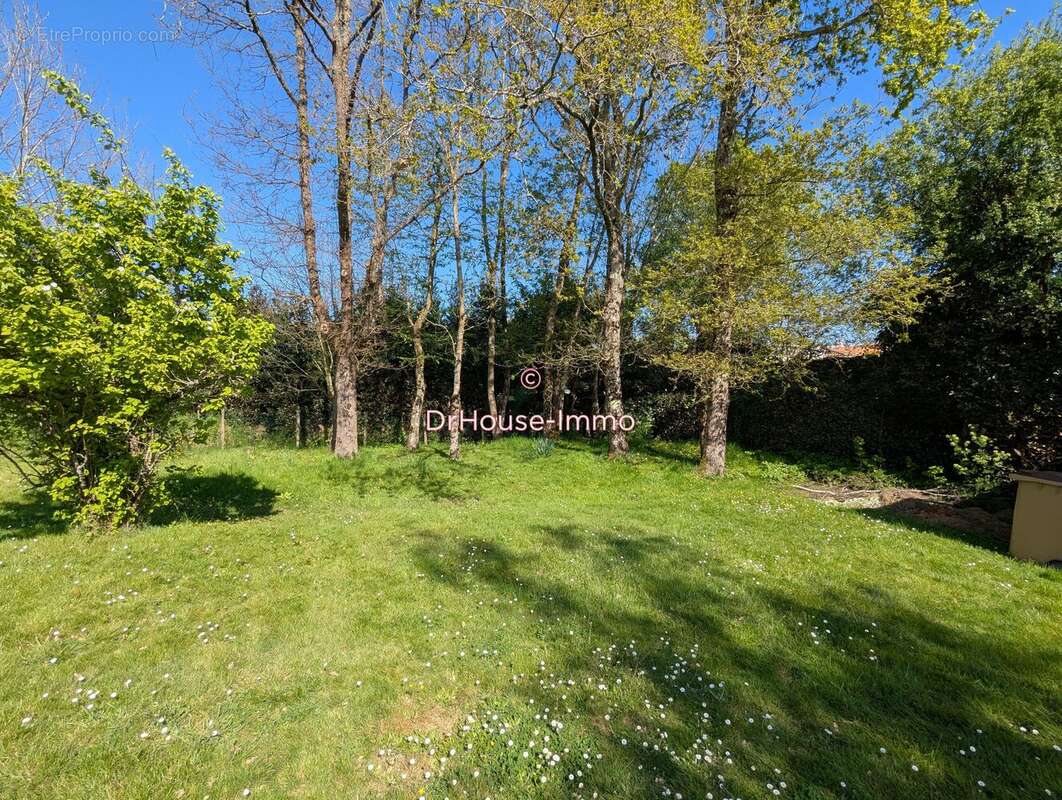 Terrain à L'ILE-D'OLONNE