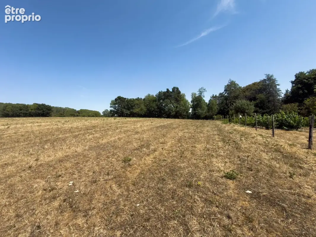 Terrain3