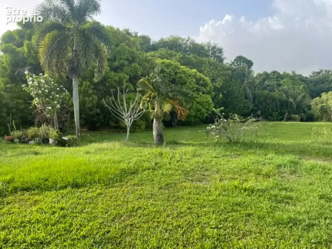 Maison à vendre 3 pièces GOYAVE (971) - photo 13