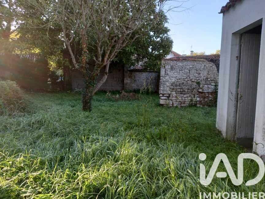 Photo 4 - Terrain à SAUJON