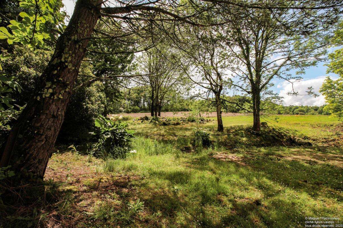 Le domaine de Loustau à Bonnut - photo 18