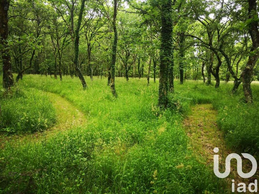 Photo 3 - Maison à LALINDE