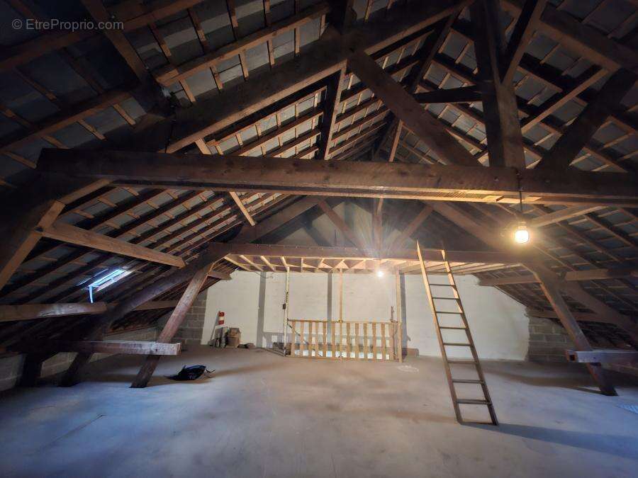 406 m² à Saint-Denis-D'anjou  - photo 1349