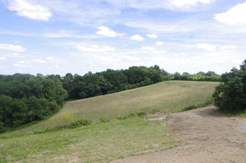 PEYRUSSE VIEILLE, secteur vallonné, belle propriété  de 227 m² avec vue panoramique et environnement privilégié - photo 3