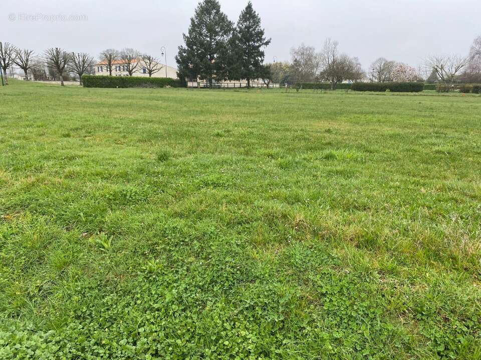 Terrain 1020 m² à Muron  - photo 2