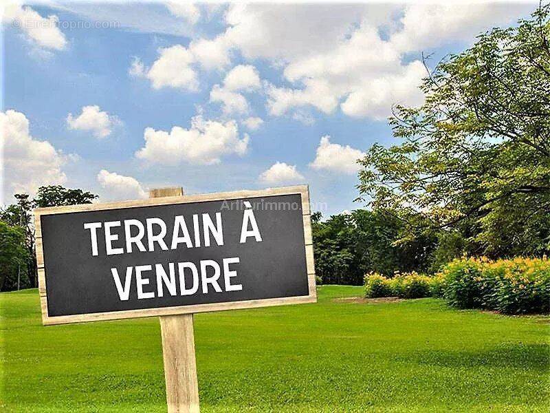 Terrain à LES GRANDES-LOGES