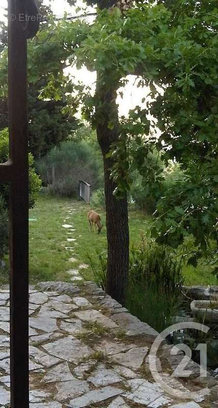 Maison à LE BAR-SUR-LOUP