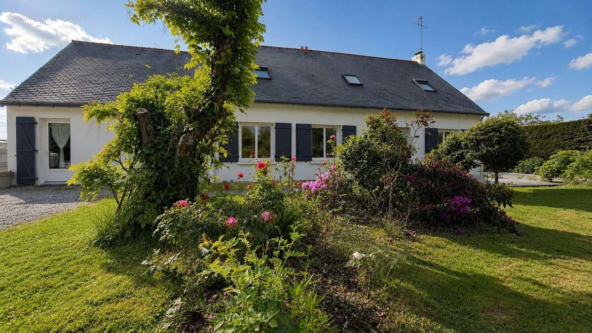 Maison à SAINT-ANDRE-DES-EAUX