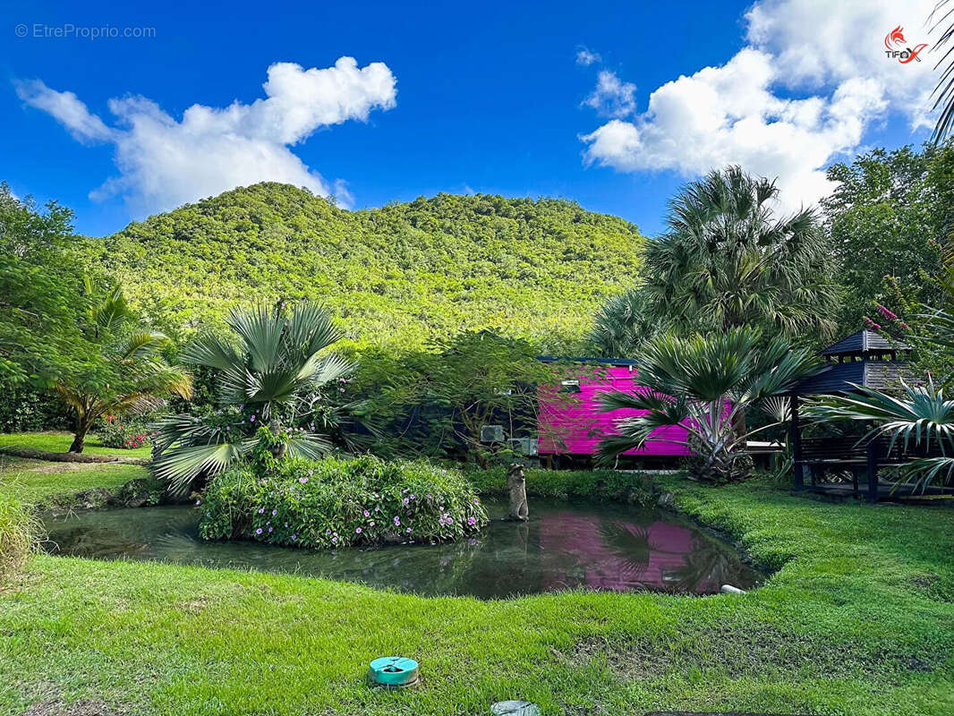 Villa Sud Ouest Martinique - photo 3