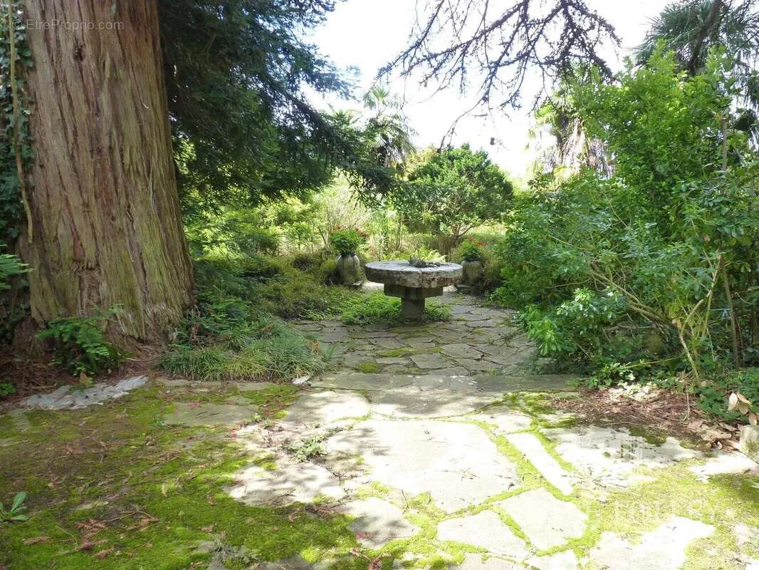 Maison à SALIES-DE-BEARN