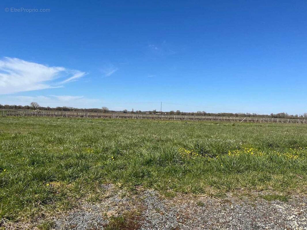 Terrain à COURCERAC
