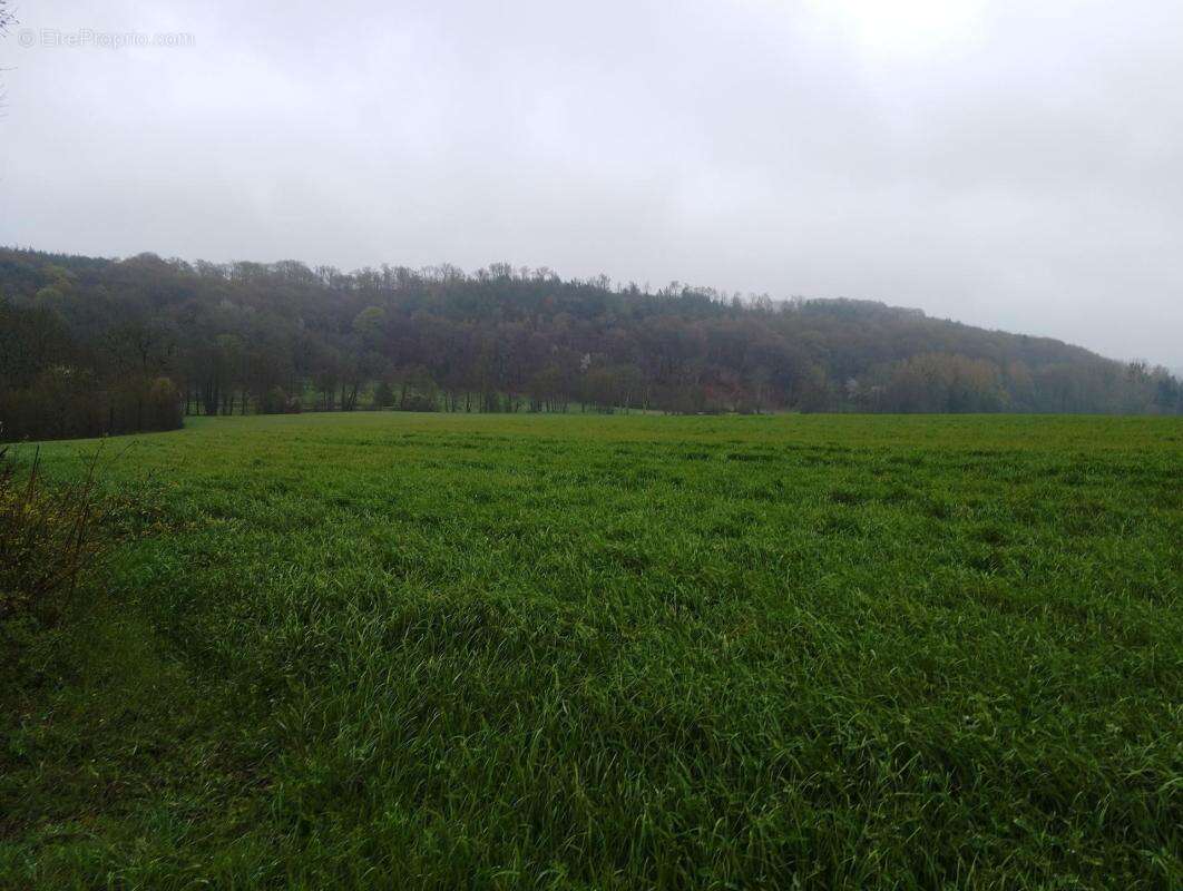 Terrain à SAINT-MARD-DE-RENO