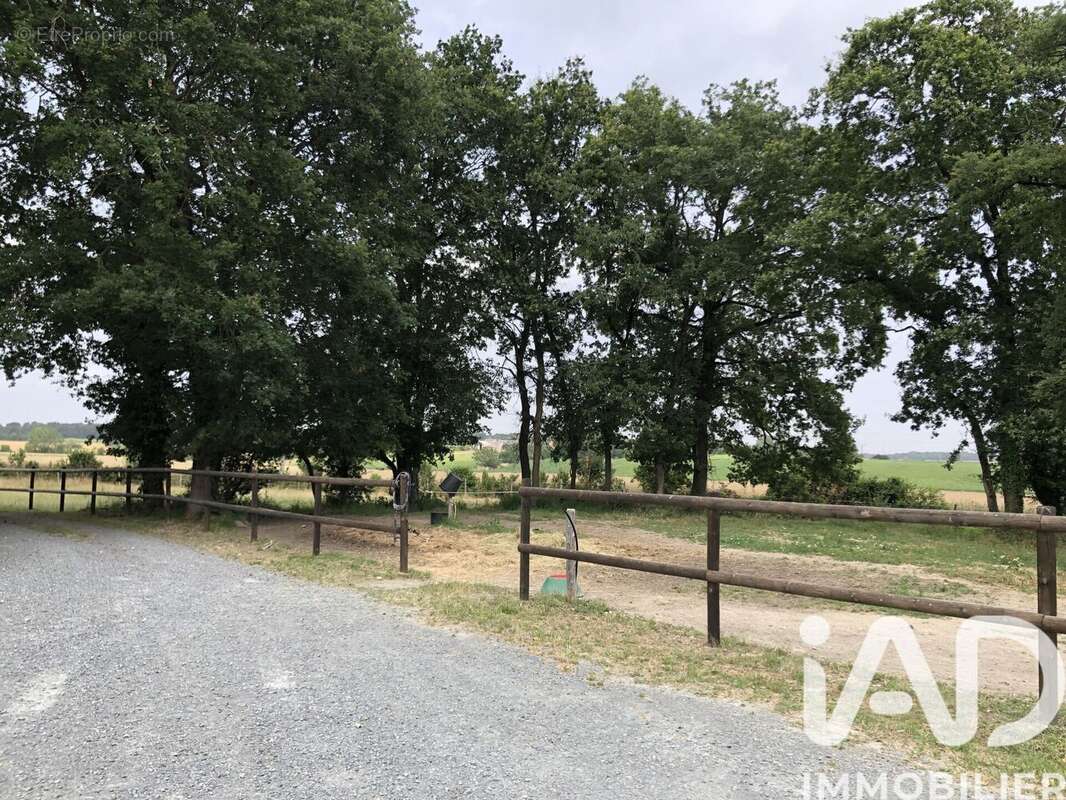 Maison 353 m² à Verrie  - photo 5