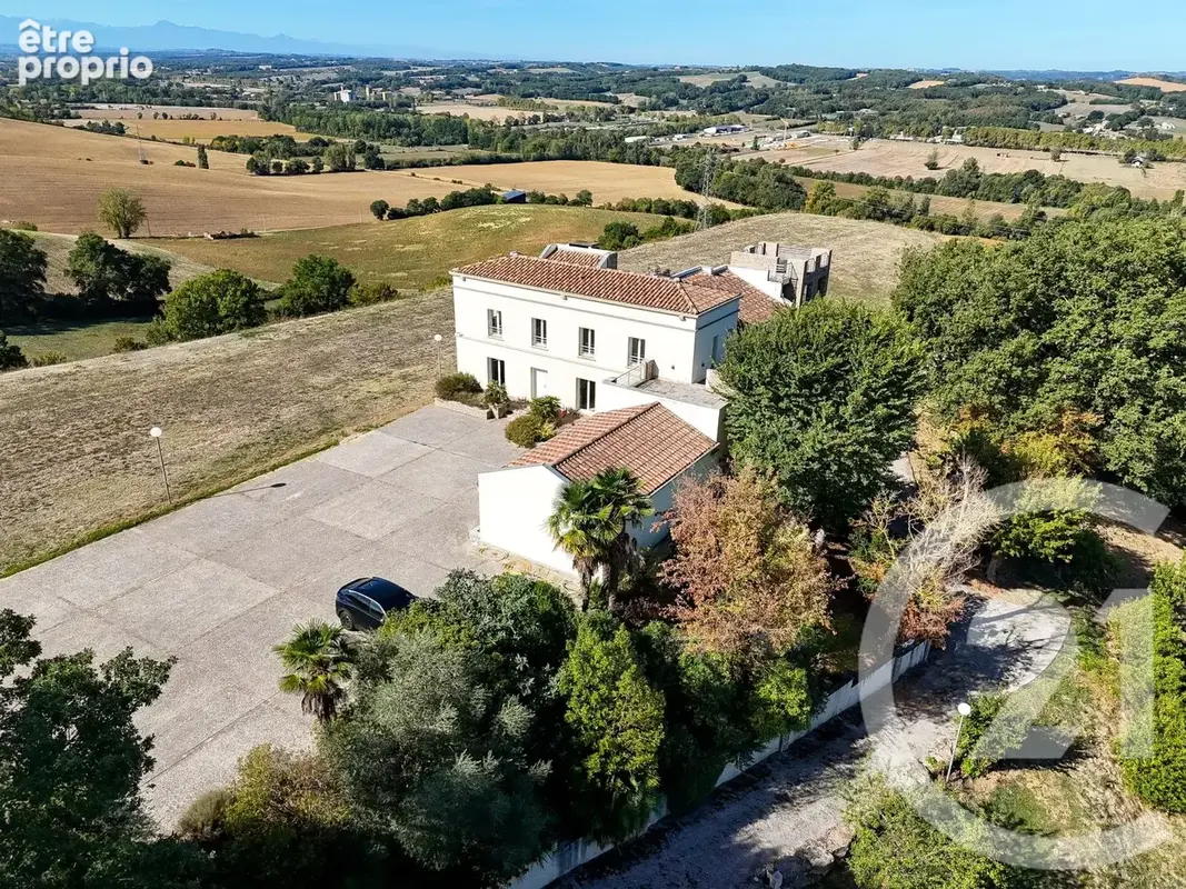 Maison 8 pièces 383 m² à vendre à L'isle-En-Dodon (31230) - photo 3