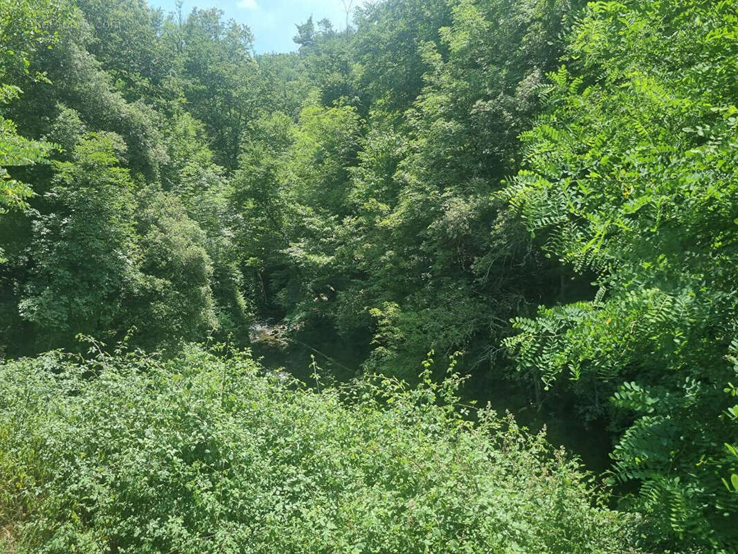 Rapaggio Murs et parcelle de terre - photo 12