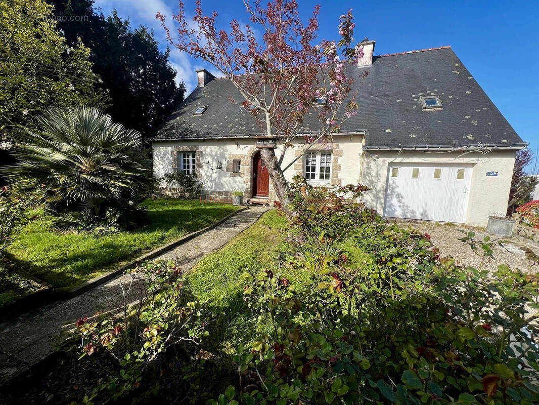 Maison à SENE