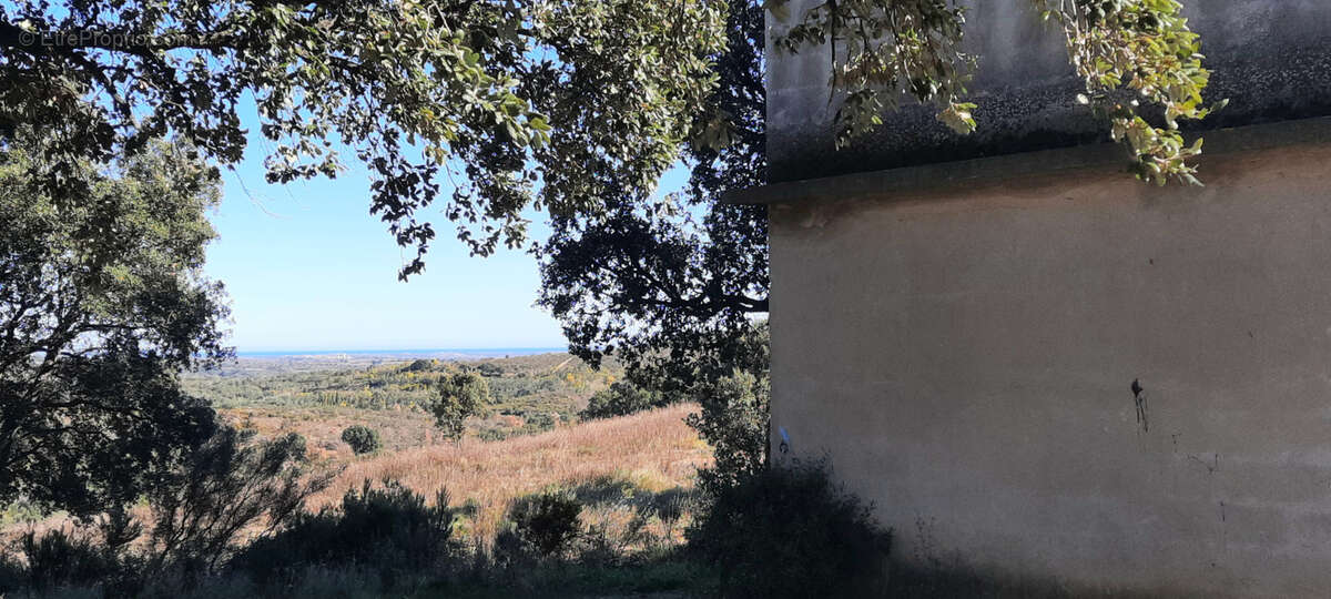 Terrain de loisir avec casot nature vue canigou calme vallespir - photo 4