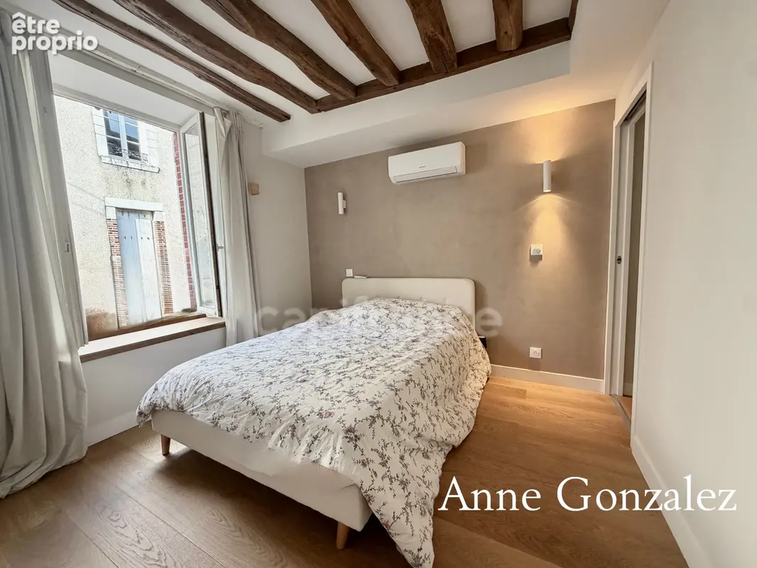 ORLEANS Coeur de ville entre Centre historique et bords de Loire à vendre superbe appartement T4 rénové avec patio intérieur san - photo 11